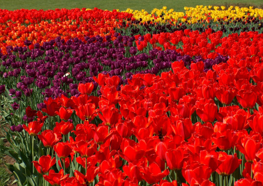 435432 (a): :2400x1696